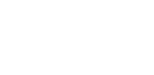 Evo Vigo